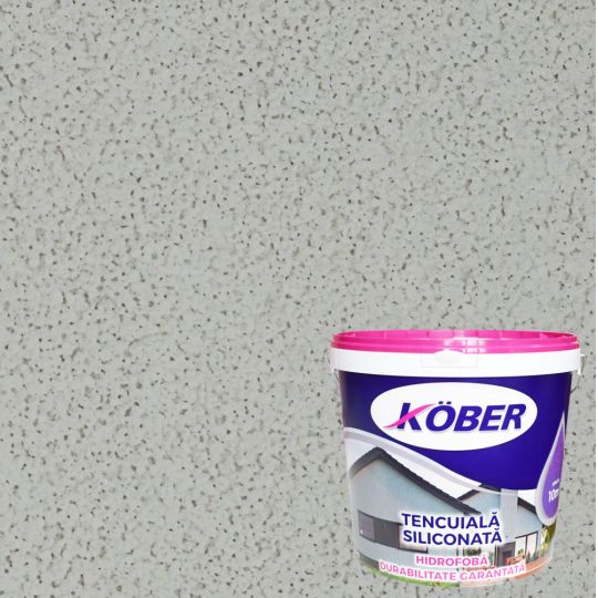 TENCUIALA KOBER SILICONATA FILDES BOB DE OREZ P25 - 4841